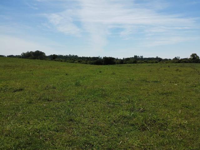 #11 - Sítio para Venda em Nova Santa Rita - RS - 2