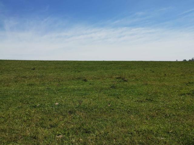 #11 - Sítio para Venda em Nova Santa Rita - RS - 3
