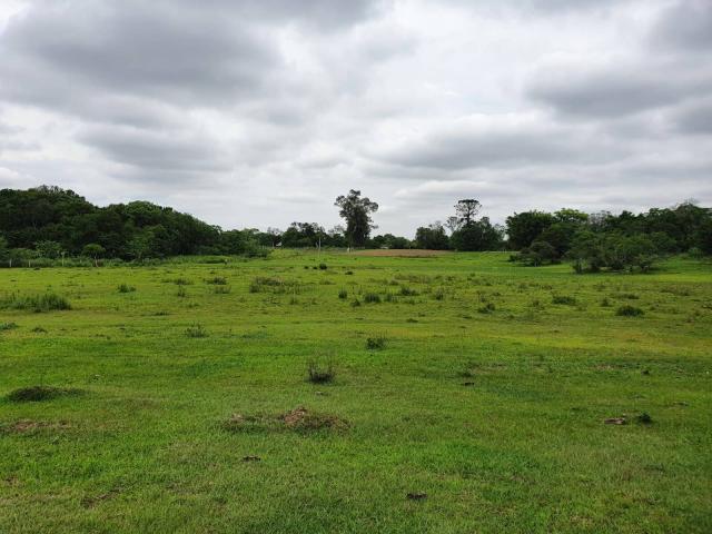 #20 - Chácara para Venda em Nova Santa Rita - RS - 2