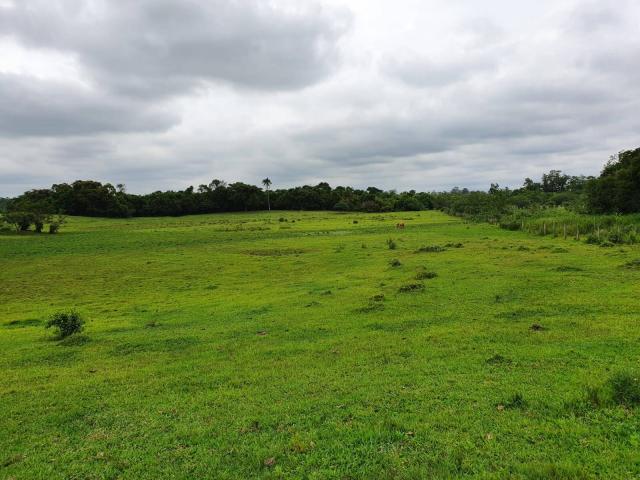 #20 - Chácara para Venda em Nova Santa Rita - RS - 1