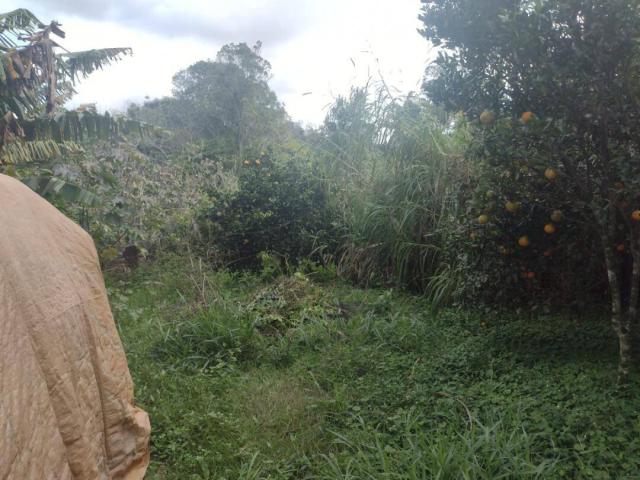 Casa para Venda em Nova Santa Rita - 5