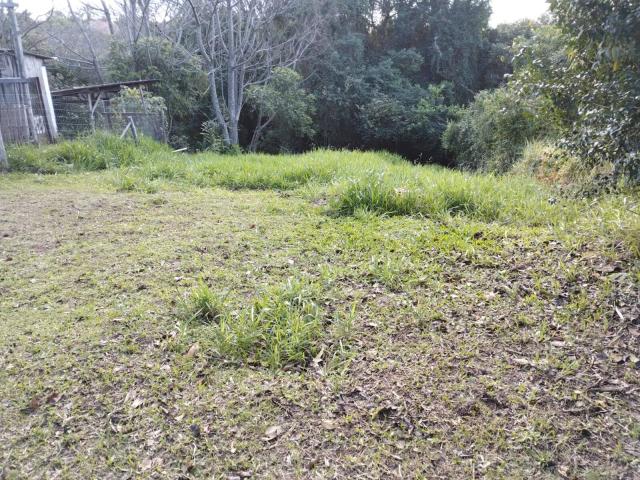 Área para Venda em Nova Santa Rita - 2
