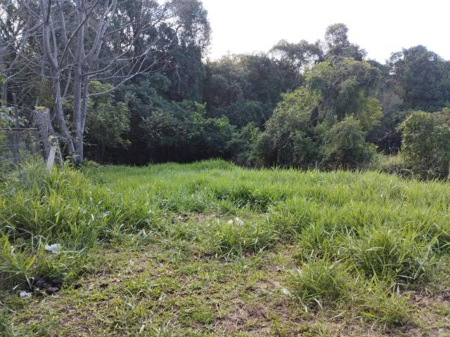 Área para Venda em Nova Santa Rita - 3