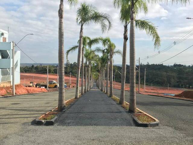 #81 - Terreno para Venda em Nova Santa Rita - RS - 2