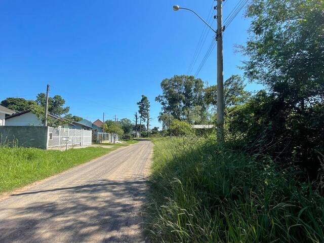 Área para Venda em Nova Santa Rita - 3