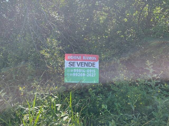 Área para Venda em Nova Santa Rita - 4
