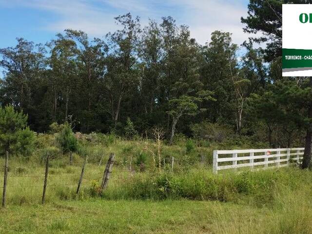 #155 - Área para Venda em Nova Santa Rita - RS - 1