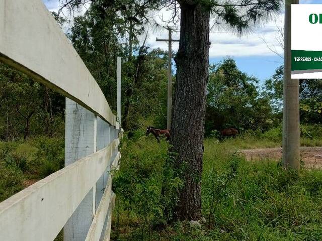 #155 - Área para Venda em Nova Santa Rita - RS - 2