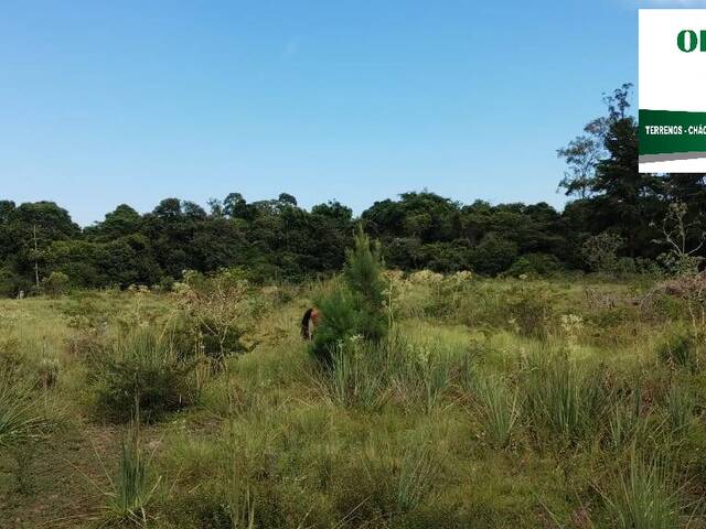 #155 - Área para Venda em Nova Santa Rita - RS - 3