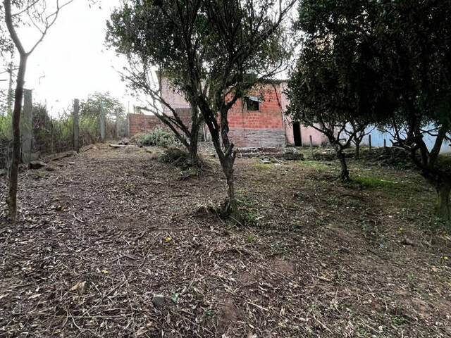 #555 - Terreno para Venda em Nova Santa Rita - RS - 3