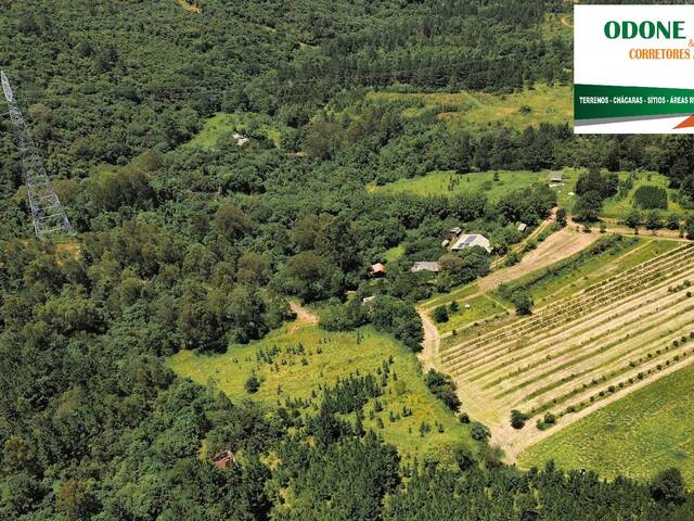 #184 - Chácara para Venda em Nova Santa Rita - RS - 1