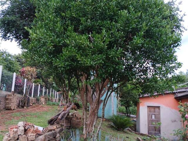 #185 - Casa para Venda em Nova Santa Rita - RS - 2